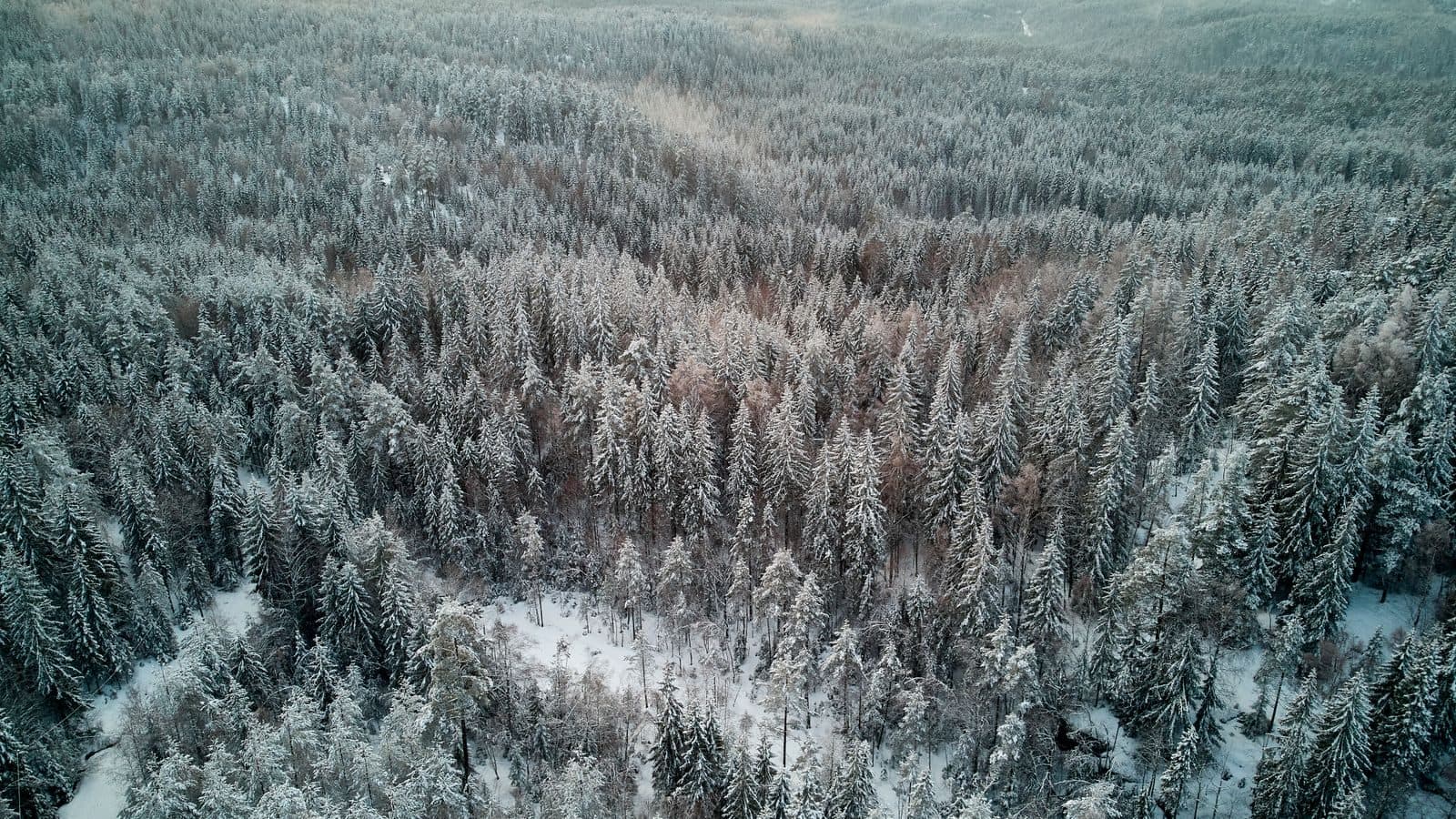 Finland in winter by campervan