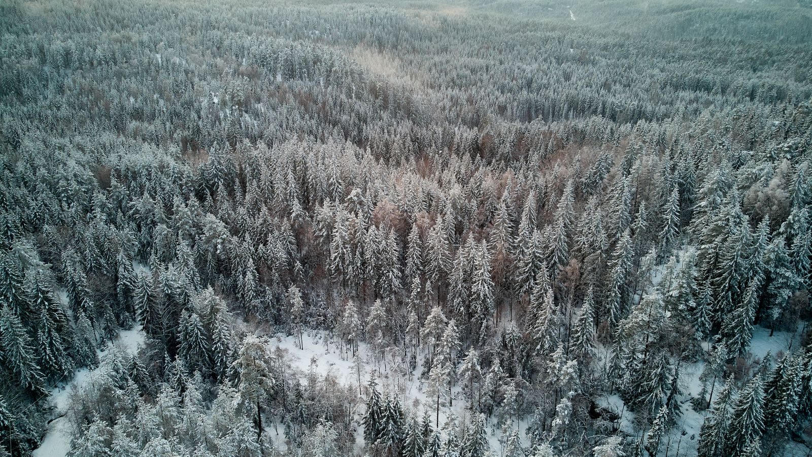Finland in winter by campervan
